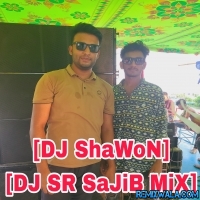 Sara Rat Ta Holuk Boluk(Sexye Vocal VS PicNic Speacial)DJ ShaWoN X DJ SR SaJiB MiX